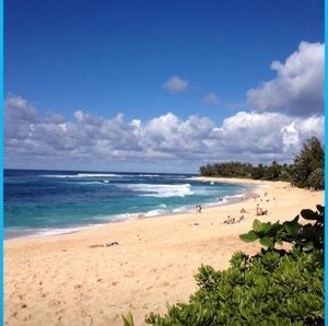 Meet your Posher, Danny